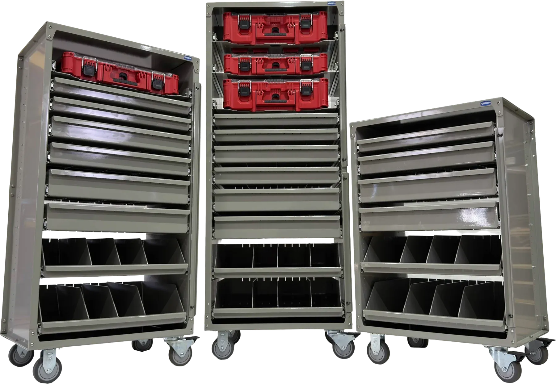 Tiger Series